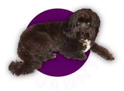 A Change for Danny